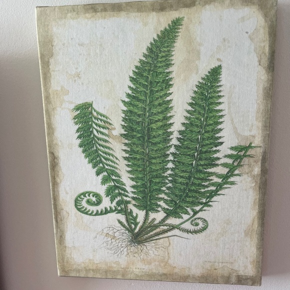Canvas Green Fern Picture Art, Frameless - Picture 1 of 4